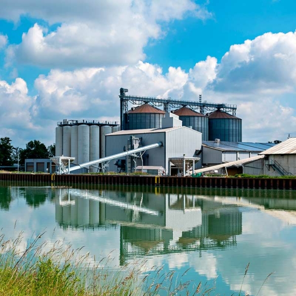 ¿Tienes un proyecto del sector agroalimentario? | Kaudal