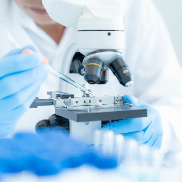 Buscamos proyectos del sector sanitario | Kaudal